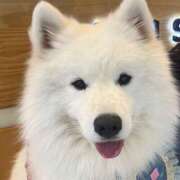 ヒメ日記 2026/01/15 09:07 投稿 あおな ハピネス東京