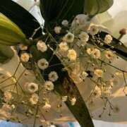 ヒメ日記 2026/01/18 12:12 投稿 あおな ハピネス東京