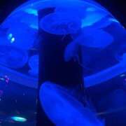 ヒメ日記 2026/03/02 09:37 投稿 あおな ハピネス東京