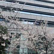 ヒメ日記 2026/03/23 08:37 投稿 あおな ハピネス東京