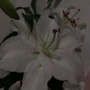 ヒメ日記 2026/04/07 10:47 投稿 あおな ハピネス東京