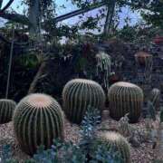 ヒメ日記 2026/04/17 09:48 投稿 あおな ハピネス東京