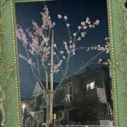 ヒメ日記 2026/04/29 19:27 投稿 舞（まい） 不倫快感