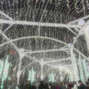 ヒメ日記 2025/12/11 21:03 投稿 みなみ 花火-hanabi-(すすきの)