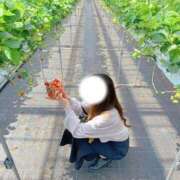 ヒメ日記 2026/01/11 16:14 投稿 るか JDリフレ