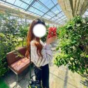 ヒメ日記 2026/02/22 15:24 投稿 るか JDリフレ