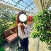 ヒメ日記 2026/03/29 10:34 投稿 るか JDリフレ