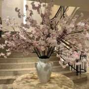 ヒメ日記 2026/03/29 06:35 投稿 こころ しごくなエステ