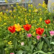 こころ たいきーん🩵 しごくなエステ