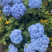 ヒメ日記 2026/06/03 08:15 投稿 こころ しごくなエステ
