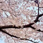 ヒメ日記 2026/03/31 12:50 投稿 仁希／にき 大宮人妻セレブリティ（ユメオト）