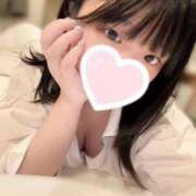 ヒメ日記 2025/12/07 18:20 投稿 ゆの 石庭