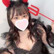 ヒメ日記 2025/12/08 23:20 投稿 ゆの 石庭