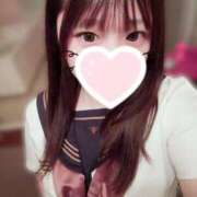 ヒメ日記 2025/12/09 12:23 投稿 ゆの 石庭