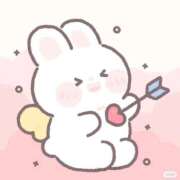 ヒメ日記 2025/12/10 02:00 投稿 ゆの 石庭