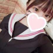 ヒメ日記 2025/12/10 15:48 投稿 ゆの 石庭