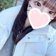 ヒメ日記 2025/12/10 18:21 投稿 ゆの 石庭