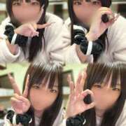 ヒメ日記 2026/01/06 16:30 投稿 ゆの 石庭