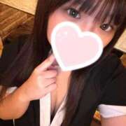 ヒメ日記 2026/01/15 11:50 投稿 ゆの 石庭