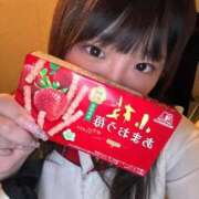 ヒメ日記 2026/01/17 14:30 投稿 ゆの 石庭