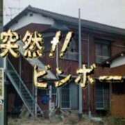 ヒメ日記 2026/02/02 15:22 投稿 ほむら ウルトラドリーム