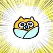 ヒメ日記 2026/03/11 12:19 投稿 ほむら ウルトラドリーム