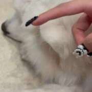 ヒメ日記 2026/03/23 16:59 投稿 ほむら ウルトラドリーム