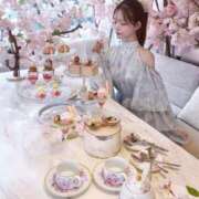 ヒメ日記 2026/03/24 06:50 投稿 れいか E+アイドルスクール品川店