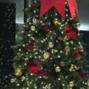 ヒメ日記 2025/12/26 12:02 投稿 えいみ Number Five 品川（シンデレラグループ）