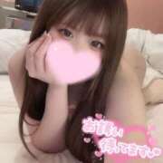 ヒメ日記 2025/12/07 12:22 投稿 めい ちゃんこ伊勢志摩鳥羽店