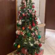 ヒメ日記 2025/12/08 09:38 投稿 りり ドンファン