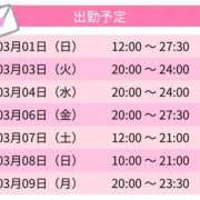 ヒメ日記 2026/03/02 00:52 投稿 ななし スピードエコ難波店