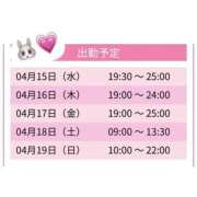 ななし ななし（エコ難波店） スピードエコ難波店