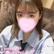 ヒメ日記 2025/12/20 21:17 投稿 あいす 桃李（とうり）