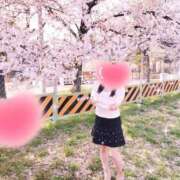 みゆ先生 出勤 バカンス学園　谷九校