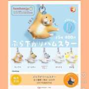 なのなの はむ デリス新宿