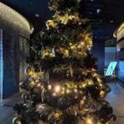 ヒメ日記 2025/12/21 18:51 投稿 まどか びくびくサークル五反田店