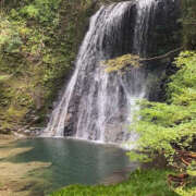 ヒメ日記 2025/12/10 09:30 投稿 夕凪まひる ワイフコレクション