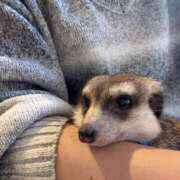 ヒメ日記 2025/12/24 10:01 投稿 夕凪まひる ワイフコレクション