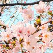 ヒメ日記 2026/03/31 01:28 投稿 夕凪まひる ワイフコレクション