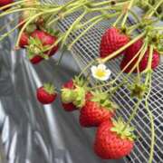 ヒメ日記 2026/04/05 23:59 投稿 夕凪まひる ワイフコレクション