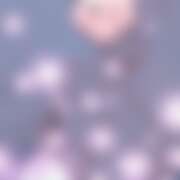 ヒメ日記 2025/12/08 21:10 投稿 しいな★ 恵里亜(エリア)