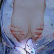 ヒメ日記 2025/12/24 17:44 投稿 しいな★ 恵里亜(エリア)