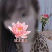 ヒメ日記 2026/02/20 20:09 投稿 しいな★ 恵里亜(エリア)