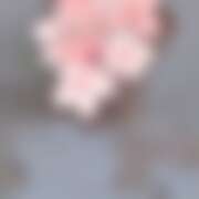 ヒメ日記 2026/03/03 23:36 投稿 しいな★ 恵里亜(エリア)