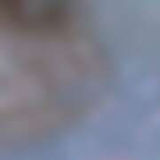 ヒメ日記 2026/03/08 06:57 投稿 しいな★ 恵里亜(エリア)