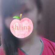 ヒメ日記 2026/04/03 18:19 投稿 しいな★ 恵里亜(エリア)