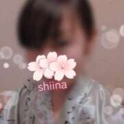 ヒメ日記 2026/09/10 09:47 投稿 しいな★ 恵里亜(エリア)