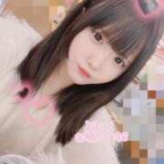 ヒメ日記 2025/12/07 11:55 投稿 ことこ IRIS(岐阜)