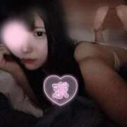 ヒメ日記 2025/12/07 16:15 投稿 ことこ IRIS(岐阜)